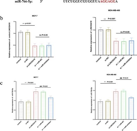 Figure 3 From Expression And Significance Of LINC02418 In Breast Cancer