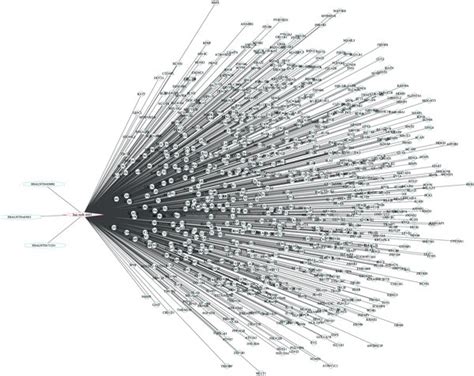 Visualization Of The LncRNA MiRNA MRNA Network Response To Baicalein