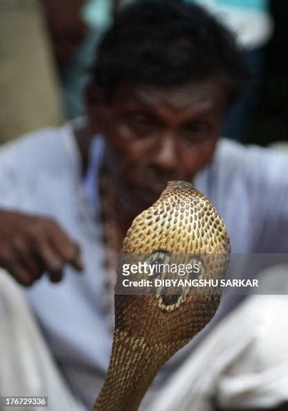 An Indian Snake Charmer Displays A Gokhra Cobra To Passersby At