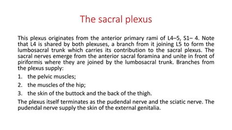 Applied And Clinical Anatomy Of Lower Limb