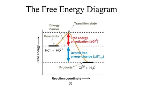 Ppt Competition Among S N 2 S N 1 E2 And E1 Reactions Powerpoint