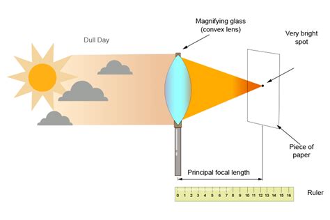 Magnifying Lens Diagram