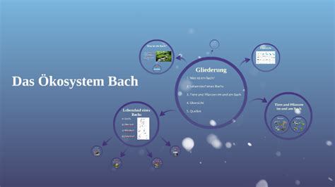 Das Ökosystem Bach by Flo Höhn on Prezi