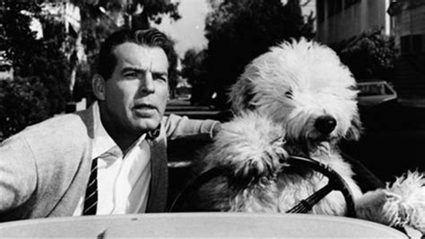 The Shaggy Dog (1959) | MUBI