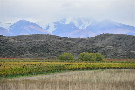 Worlds Best Vineyards 2023 La Mejor Bodega Del Mundo Es Argentina Y