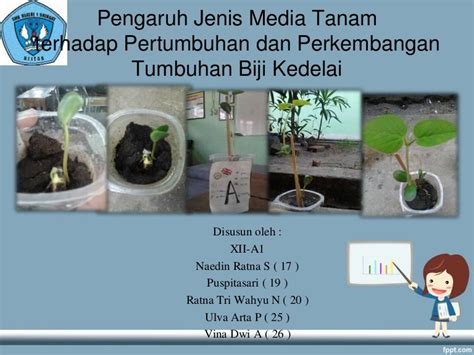 Pengaruh Jenis Media Tanam