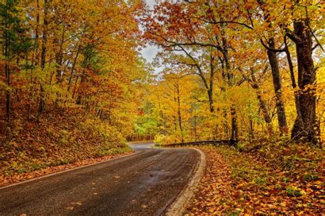 Michigan fall colors 2023: Peak colors may be late. Blame El Niño ...