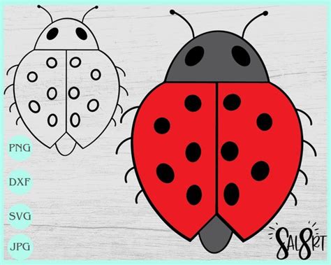 Ladybug Insect Outline Silhouette Color Clipart 55 Off