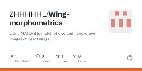 Wing morphometrics 展示PPT pptx at main ZHHHHHL Wing morphometrics GitHub