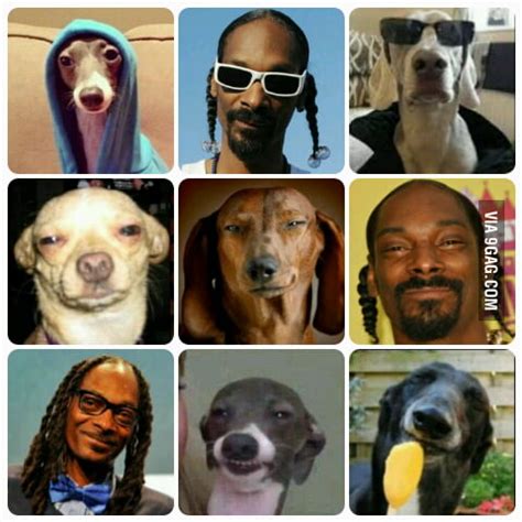 Snoop Dogg Dog