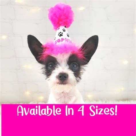 Dog Birthday Hat - Etsy