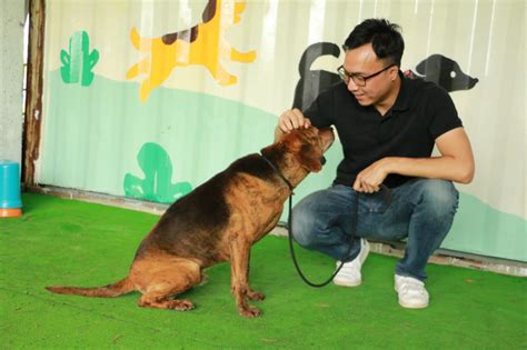 流浪狗學校締造「零退養奇蹟」 他們在三芝辦到了 新社會 倡議家