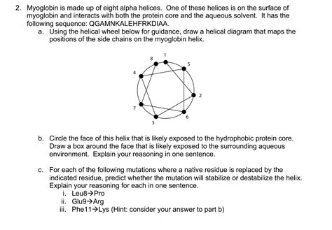 Solved 2 Myoglobin Is Made Up Of Eight Alpha Helices One