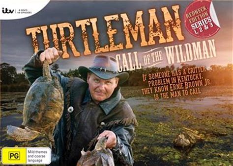 What Happened To Turtle Man Beyond The Pond A Journey Of Mystery And Transformation