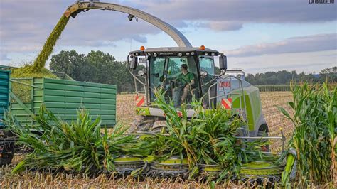 Maize Chopping 2023 Ll Claas Jaguar 990 John Deere 9800i 5 Tractors