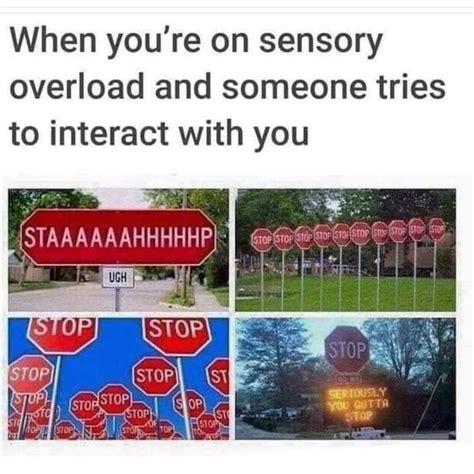 Overload in progress : r/memes