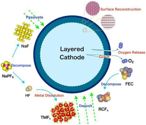 Layered Oxide Cathodeelectrolyte Interface Towards Naion Batteries