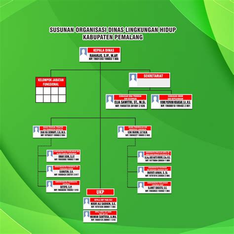 Struktur Organisasi Dinas Lingkungan Hidup