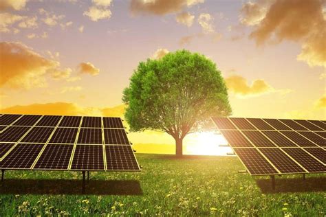 En Qué Afecta La Energia Solar Al Medio Ambiente ️ Incluye VÍdeo