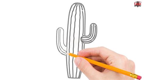 How To Draw A Cactus Step By Step