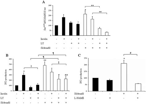 Enos Ser 1177 Phosphorylation And No Production Induced By Acute Download Scientific Diagram