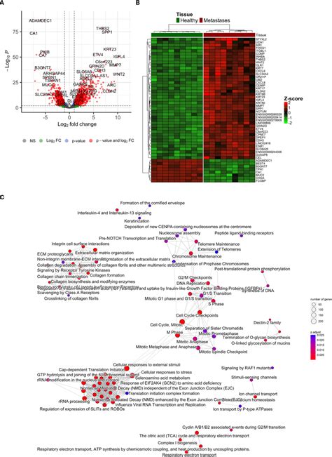 Differentially Expressed Genes ‘characterization A Volcano Plot