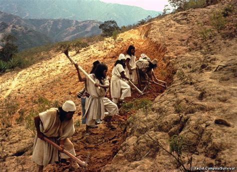 Indígenas De Sierra Nevada