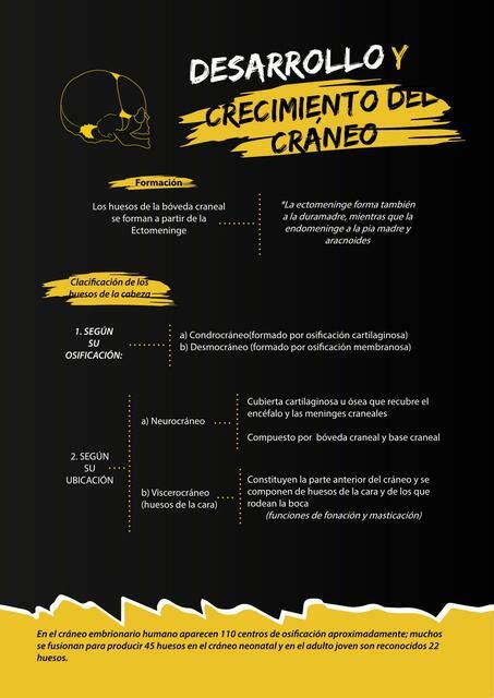 Desarrollo y Crecimiento del Cráneo Luis Contreras Paira uDocz