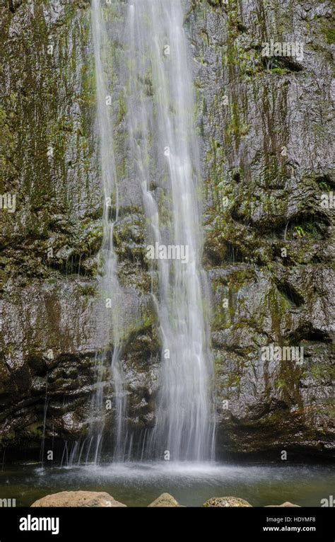 Manoa Falls, Honolulu, Oahu, Hawaii Stock Photo - Alamy