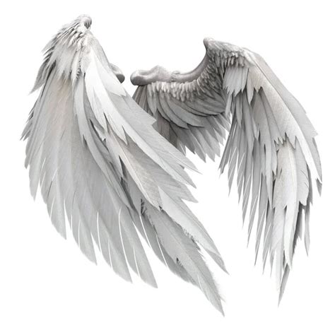 Pair Isolated Angel Wings Feathers White Background Illustration