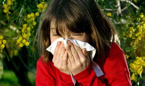 Hay Fever Alert As Red Warning Issued For June Here S What S Behind Latest Surge Weather