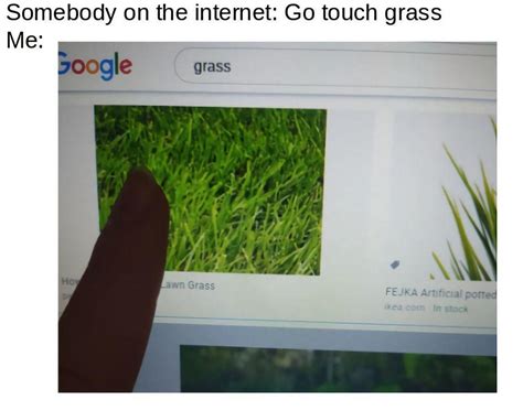 Did I Touch The Grass Touch Grass Know Your Meme