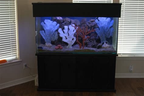 180 Gallon Custom Saltwater Aquarium In Murrays Garage Sale League