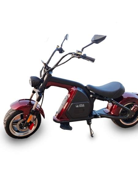 Scooter Elettrico Ataa M Citycoco Con Batteria Rimovibile Ata Cars