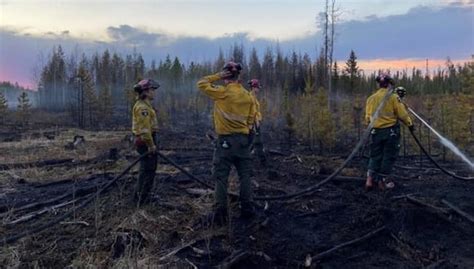 Efectos Del Cambio Climático Provocan Excepcional Ola De Incendios En