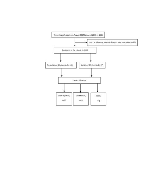 Immunosuppression Reduction after Diagnosis of Sustained BK Viremia and