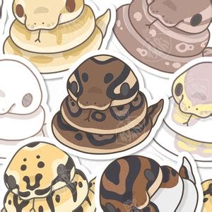 Ball Python Stickers Cute Snake Stickers - Etsy