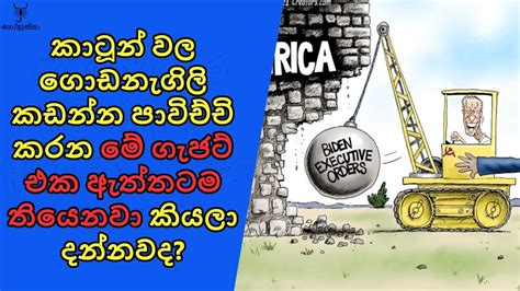 කාටූන් වල දැකපු දේවල් ඇත්තටම තියෙනවා කියලා දැක්කම Youtube