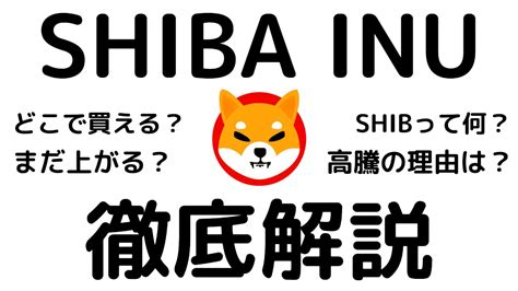 【高騰】仮想通貨shiba Inu（shib柴犬コイン）とは？今後の将来性や高騰の理由、購入方法を解説！ サイネタ