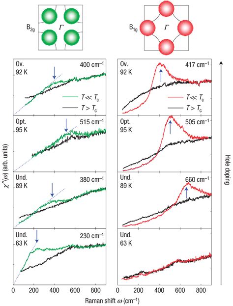 Raman Spectra For Hgba2cuo 4δ Hg 1201 For B2g Left And B1g Right