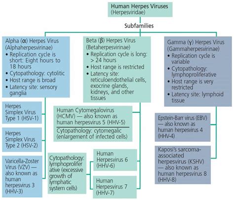 Reducing Transmission Of Herpes Simplex Virus Type 1 In Clinical Practice Decisions In Dentistry