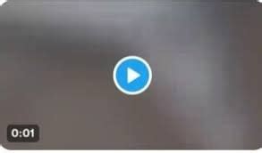 This Taliyah and Gustavo Leak Will Make Your Jaw Drop. - b5rdm82