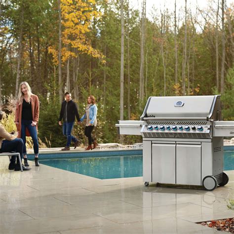 Barbecue Gaz Sur Chariot Napoleon Pro Infrarouge Inox