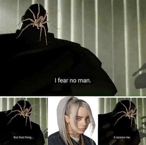 spiders are scared of humans too (OC) - Meme by radicalbradical ...