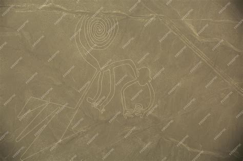 Premium Photo | Nazca Lines The Monkey