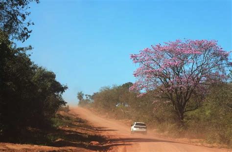 tempo estável terça feira tem previsão de sol e baixa umidade