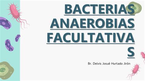 Bacterias Anaerobias Facultativas Delvis Hurtado Udocz