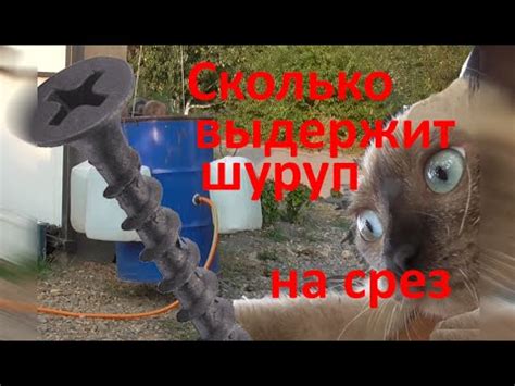 Сколько выдержит черный ШУРУП НА СРЕЗ. Испытание - YouTube