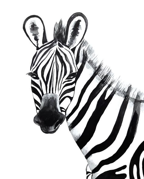 Zebra Watercolor Painting Painting By Luba Ostroushko Saatchi Art