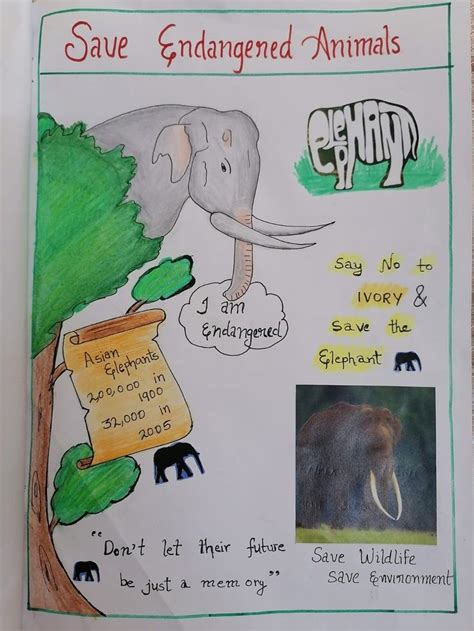 Save Asian Elephants, save Endangered Animals poster | Endangered ...